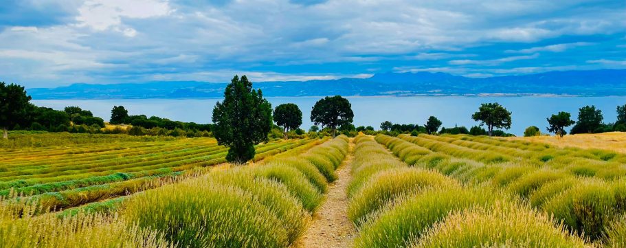 Lisinia Doğa OkuluTeknik Gezisi