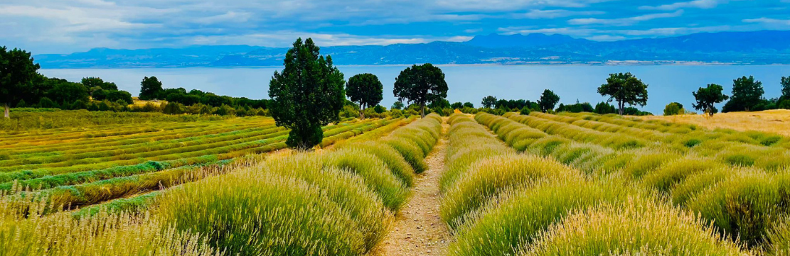 Lisinia Doğa OkuluTeknik Gezisi